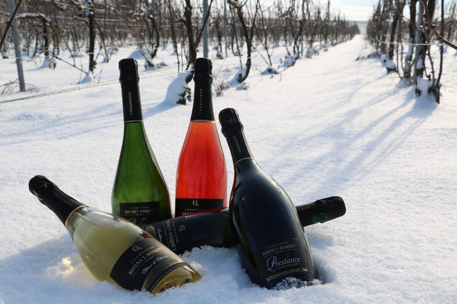 Histoire du Champagne Gosnet Roquet